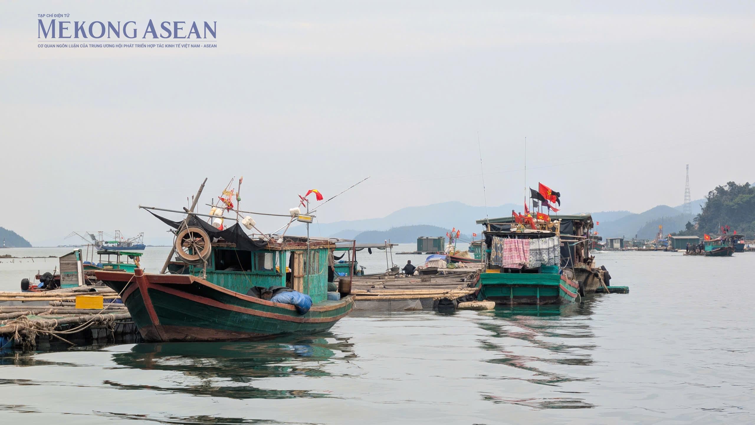 Mở rộng không gian hợp tác thủy sản Việt Nam - Ấn Độ