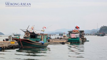Triển vọng hình thành chuỗi cung ứng thủy sản bổ trợ giữa Việt Nam - Ấn Độ