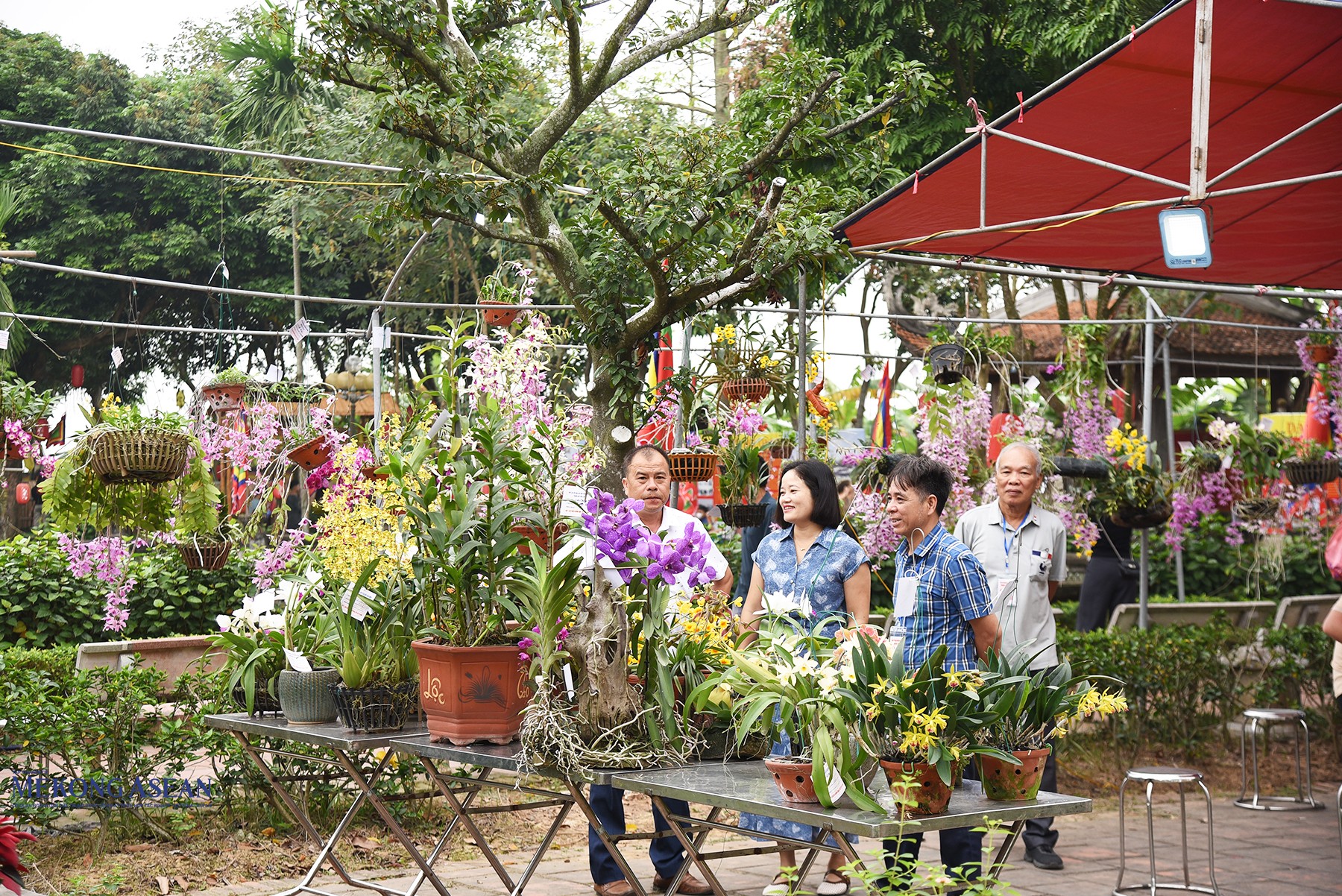 Khai hội truyền thống Văn miếu Mao Điền, về nơi trường thi ‘xứ Đông’