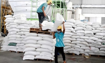 Gạo Campuchia vươn tới 56 thị trường, doanh thu quý 1 tăng gần 30%