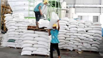 Gạo Campuchia vươn tới 56 thị trường, doanh thu quý 1 tăng gần 30%