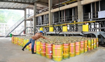Hoá chất Đức Giang cập nhật tiến độ các dự án trọng điểm