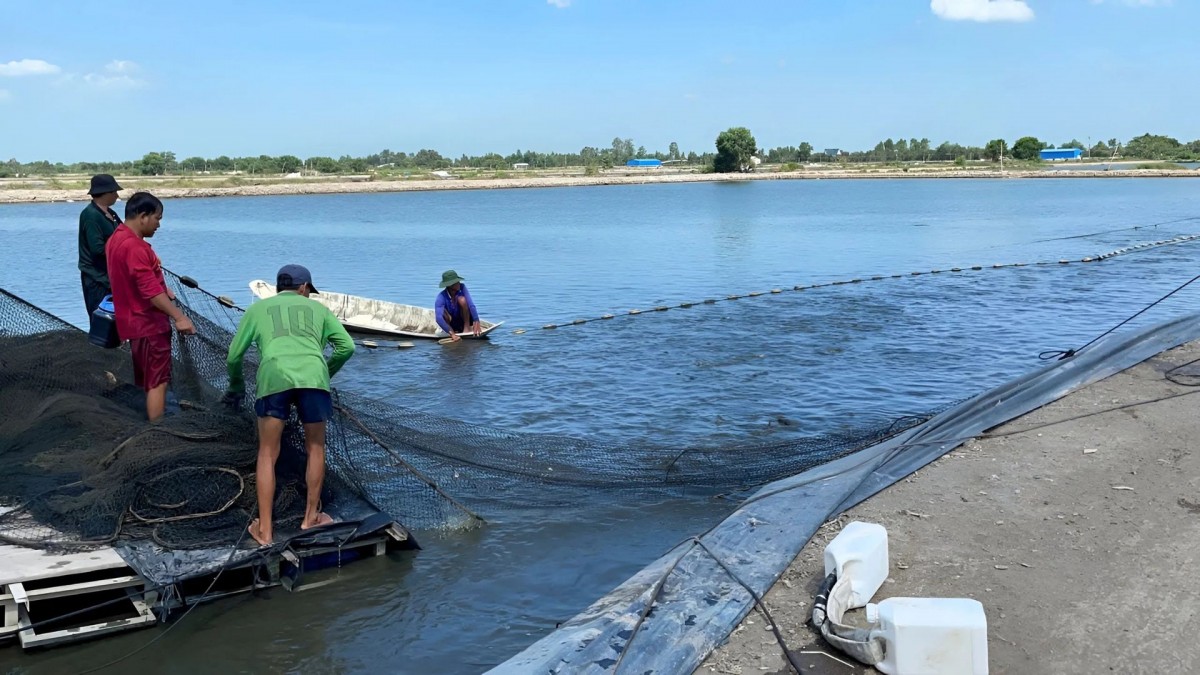 26 tỷ đồng từ Australia tài trợ cho ba dự án công nghệ nông nghiệp Việt