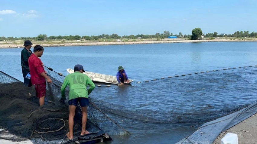 26 tỷ đồng từ Australia tài trợ cho ba dự án công nghệ nông nghiệp Việt