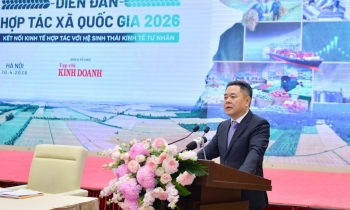 Hơn 8,5 triệu tỷ đồng tín dụng đổ vào khu vực hợp tác xã