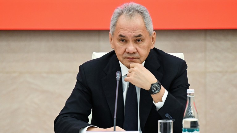 Thư ký Hội đồng An ninh Nga Sergey Shoigu. Ảnh: RIA Novosti