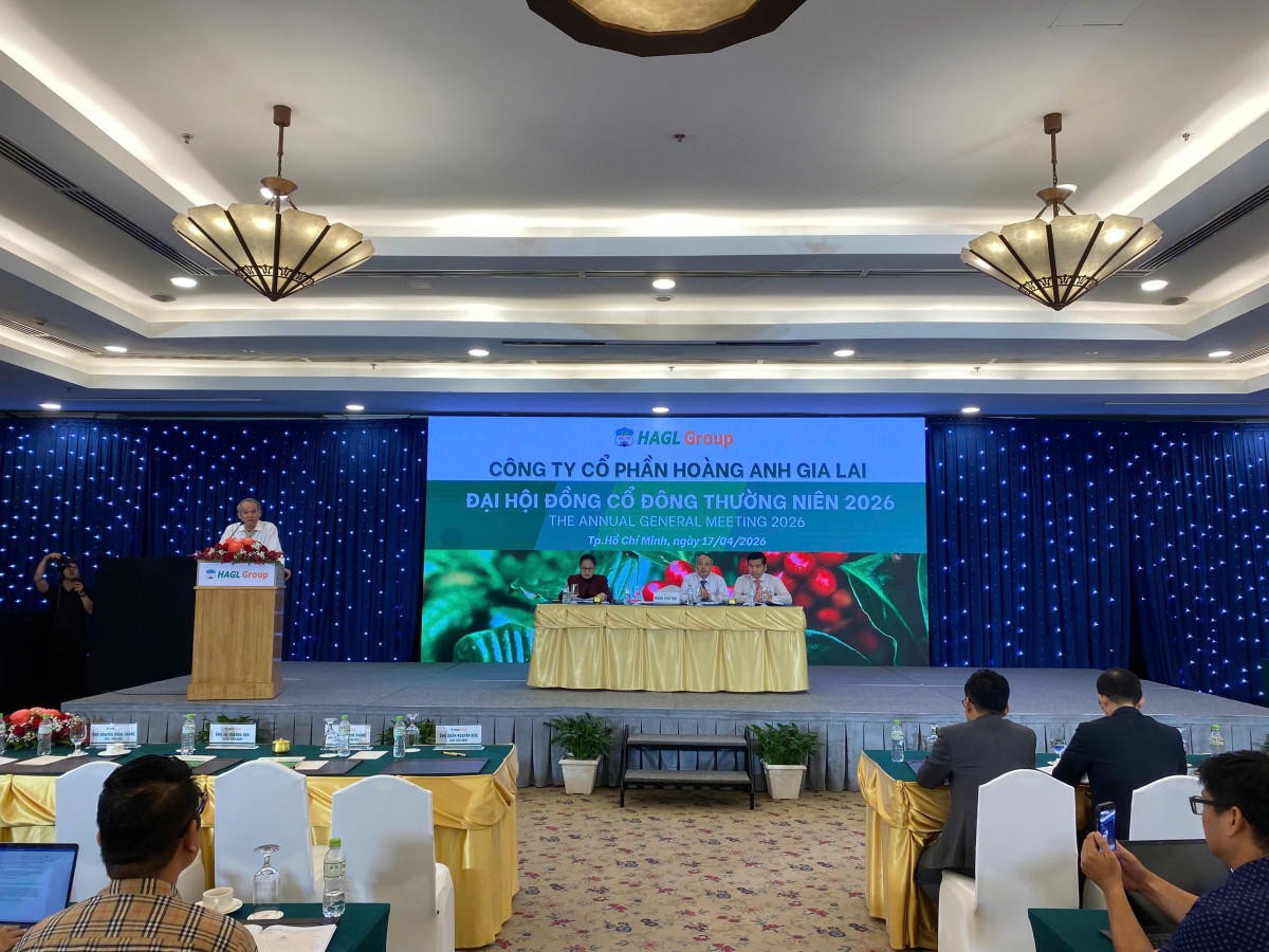 Chủ tịch HAGL: 'Ai mua cổ phiếu HAG mà lỗ sau 2 năm thì cứ kêu ông Đức ra chửi'