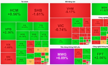 Nhóm Vingroup đảo chiều, VN-Index đứt mạch tăng 5 phiên liên tiếp