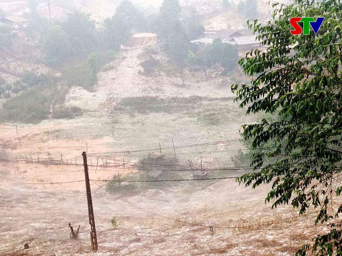 Mưa đá trắng núi đồi ở Sơn La. Ảnh: Truyền hình Sơn La.