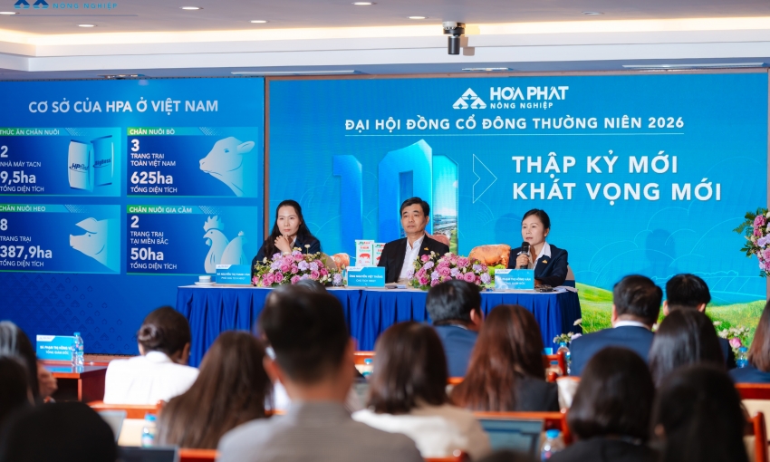 Tổng giám đốc HPA: ‘Bất chấp cạnh tranh, chúng tôi tự tin sẽ trụ lại tới cùng’