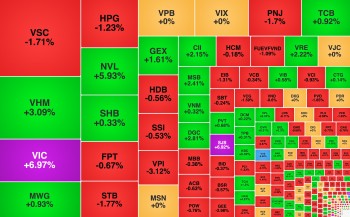 VIC tím trần trong ngày họp cổ đông, NVL tăng 70% sau 2 tháng