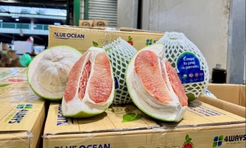 Bưởi Việt Nam chính thức được bày bán tại Sydney, Australia