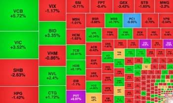 Thị trường 'xanh vỏ đỏ lòng', PC1 bất ngờ giảm sàn