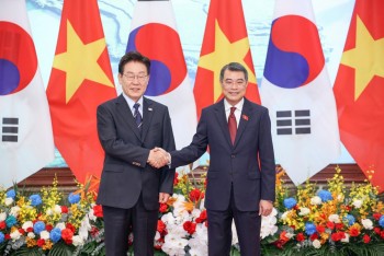 Đưa doanh nghiệp Việt tham gia sâu vào chuỗi cung ứng toàn cầu của Hàn Quốc