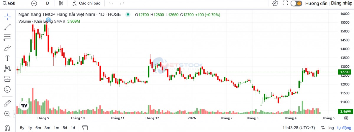 CEO MSB: 'Chia cổ tức bằng cổ phiếu thời điểm này lợi hơn tiền mặt'