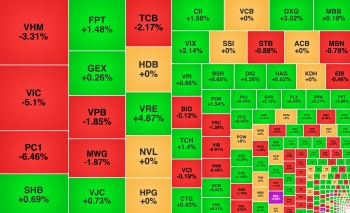 VN-Index giảm gần 22 điểm, hơn 10% vốn PC1 'đổi chủ'