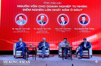 Doanh nghiệp tư nhân tìm thêm 