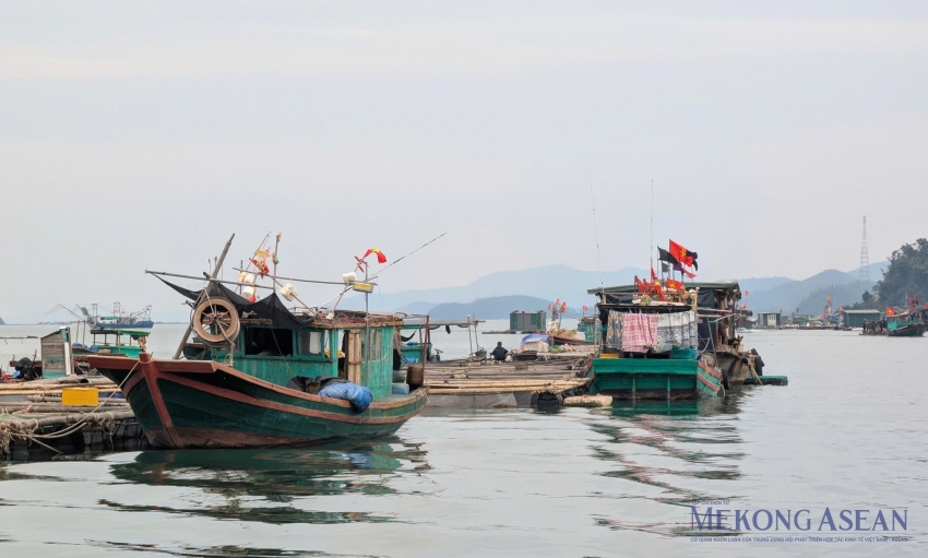 Kiện toàn Ban Chỉ đạo quốc gia về IUU