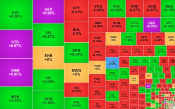 VN-Index lập đỉnh mới, cổ phiếu nhóm Gelex 'nổi sóng'