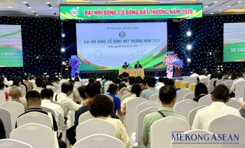 Tổng giám đốc DGC: Thiếu sót pháp lý đã xảy ra là bài học sâu sắc