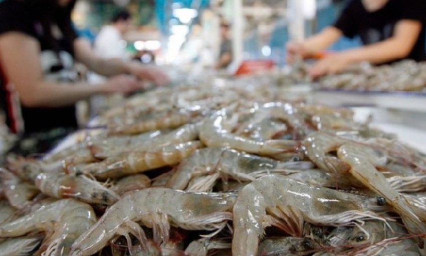 Mỹ kết luận sơ bộ chống bán phá giá tôm, doanh nghiệp Việt cần lưu ý gì?