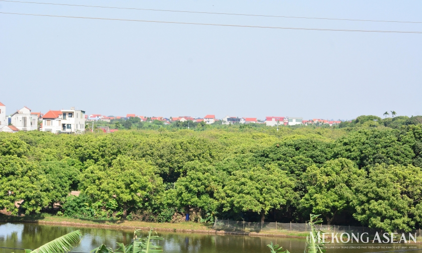 Hoàn thành cơ sở dữ liệu quốc gia về đất đai trong năm 2026