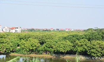 Hoàn thành cơ sở dữ liệu quốc gia về đất đai trong năm 2026