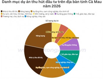 Cà Mau công bố 96 dự án thu hút đầu tư năm 2026