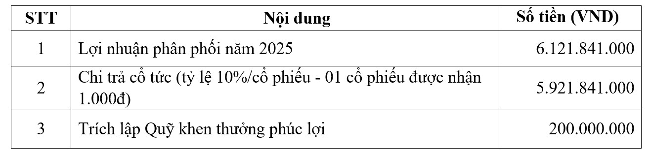 ĐHĐCĐ Ratraco: Mục tiêu doanh thu nghìn tỷ, dự kiến huy động vốn trả nợ ngân hàng