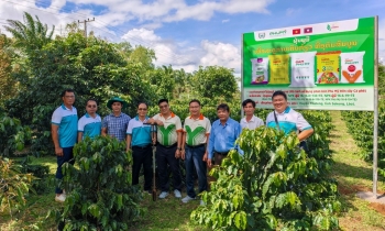 Phú Mỹ mở rộng hợp tác phát triển nông nghiệp tại Lào