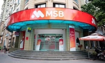 Từng muốn thoái sạch vốn, Rox Living lại muốn mua thêm 100 triệu cổ phiếu MSB