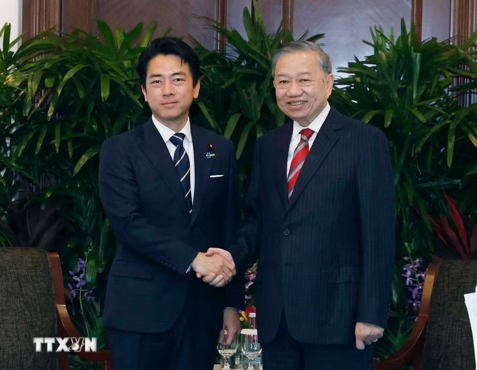Tổng Bí thư, Chủ tịch nước Tô Lâm tiếp Bộ trưởng Quốc phòng Nhật Bản Shinjiro Koizumi. Ảnh: Thống Nhất/TTXVN
