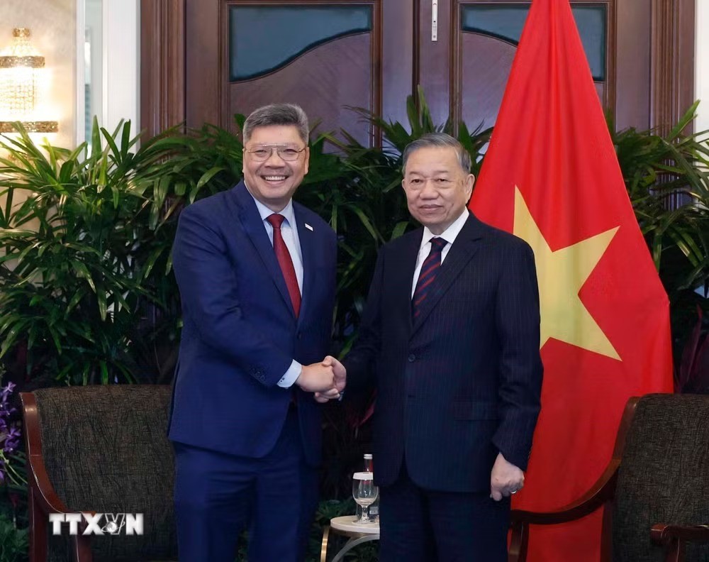 Tổng Bí thư, Chủ tịch nước Tô Lâm tiếp ông Bob Chi, Tổng giám đốc điều hành Công ty SATS - Ảnh: TTXVN