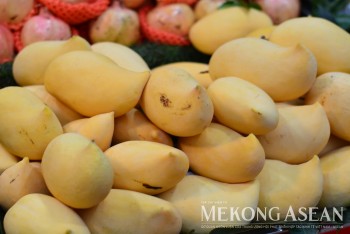 Tổ chức đoàn giao thương trái cây tại Quảng Tây, Trung Quốc vào giữa tháng 6