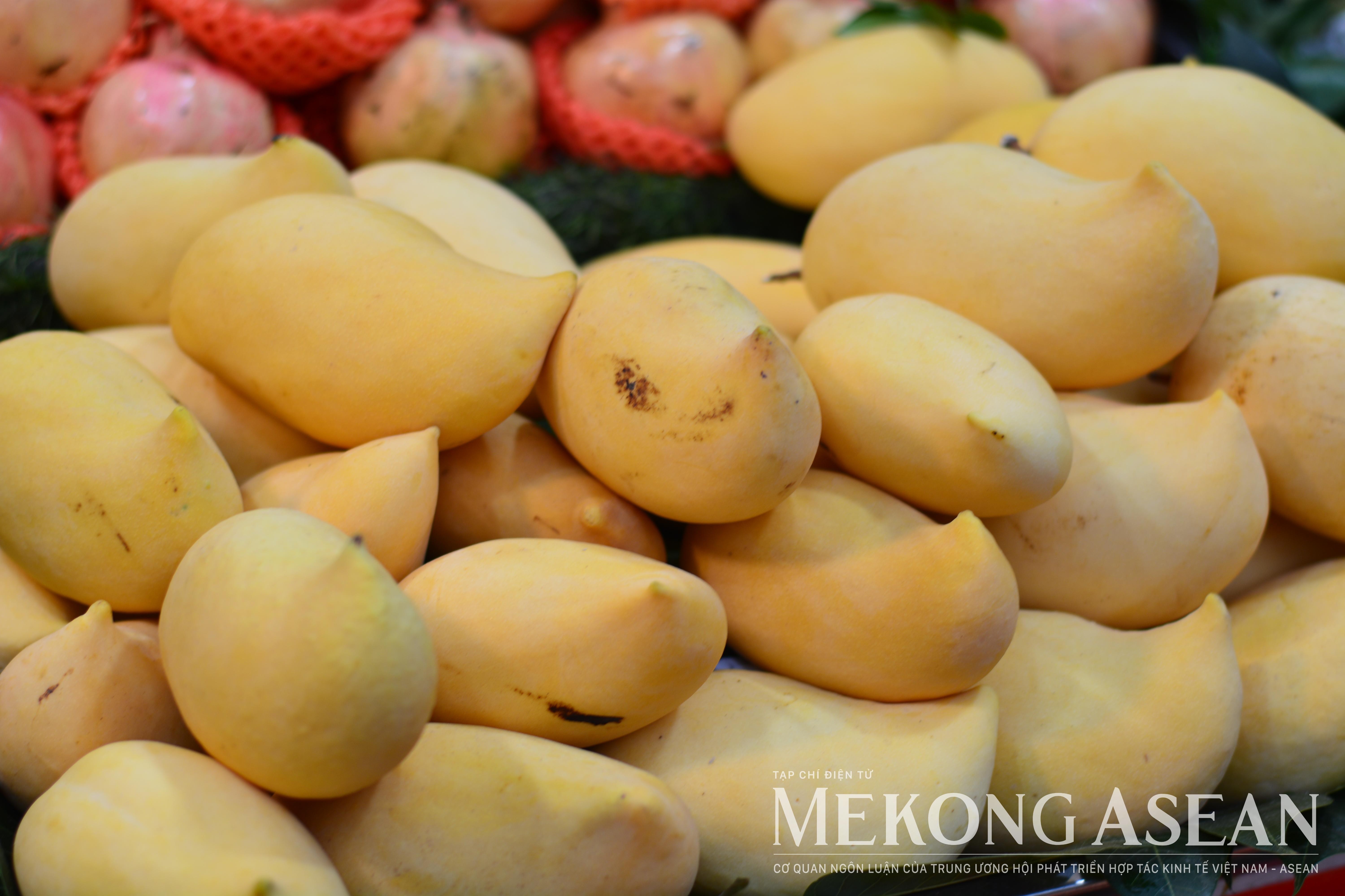 Tổ chức đoàn giao thương trái cây tại Quảng Tây, Trung Quốc trong tháng 6. Ảnh Lê Hồng Nhung - Mekong ASEAN