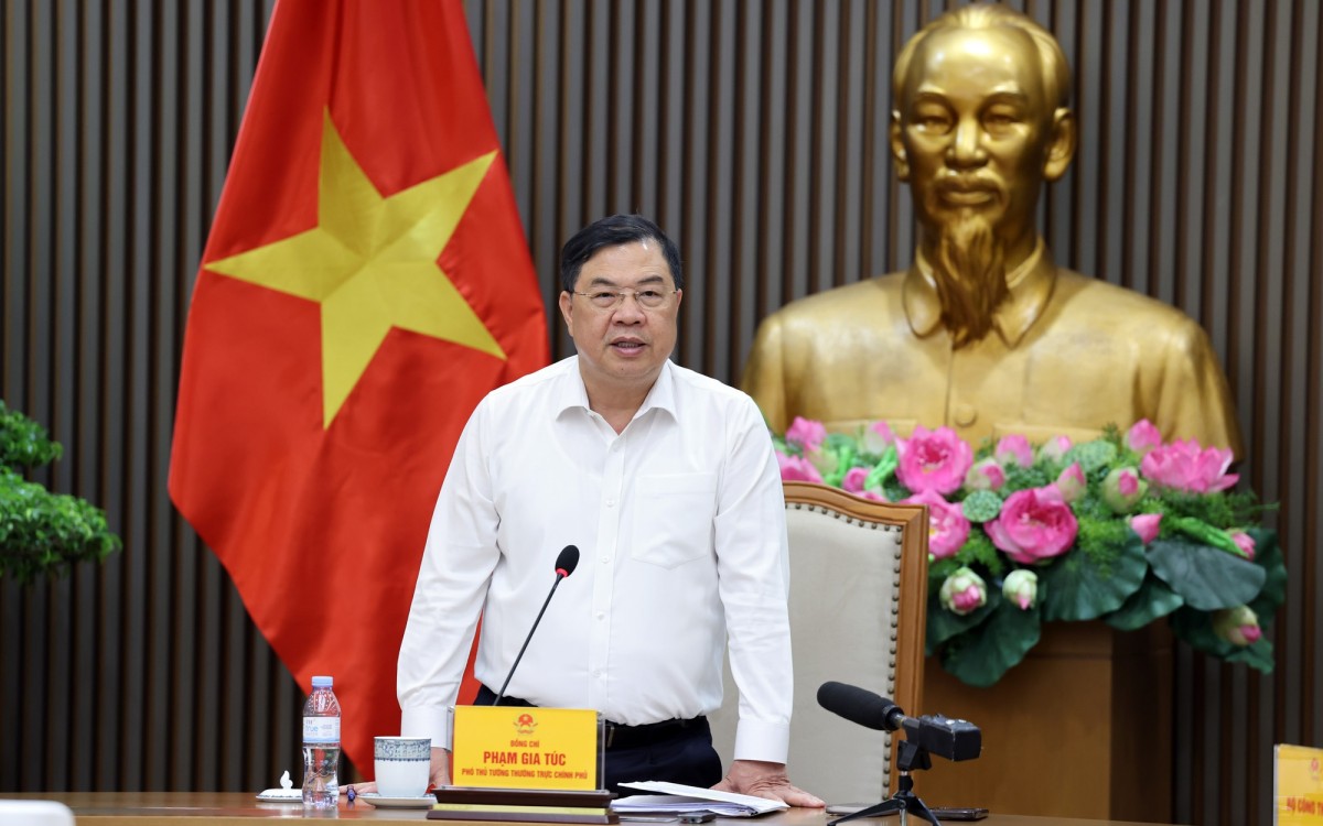 Phó Thủ tướng Thường trực Phạm Gia Túc yêu cầu bảo đảm nguồn cung, chất lượng và quyền lợi người tiêu dùng khi chuyển đổi sang xăng E10. Ảnh: VGP.