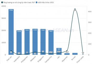 Top 5 mặt hàng xuất khẩu của Việt Nam sang ASEAN