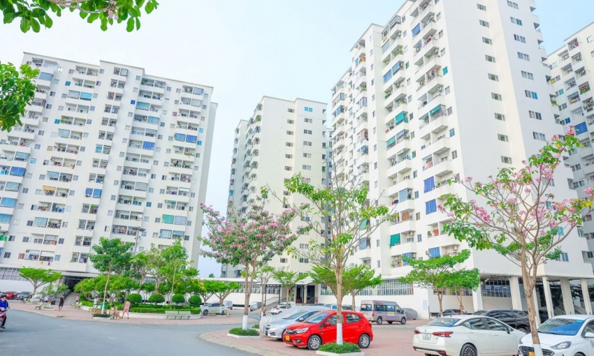 HoREA kiến nghị loạt ưu đãi để phát triển nhà ở cho thuê giá phù hợp