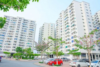 HoREA kiến nghị loạt ưu đãi để phát triển nhà ở cho thuê giá phù hợp
