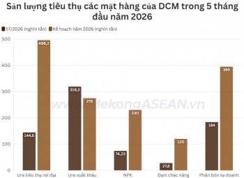 Phân bón Cà Mau vượt 16% kế hoạch xuất khẩu ure năm 2026