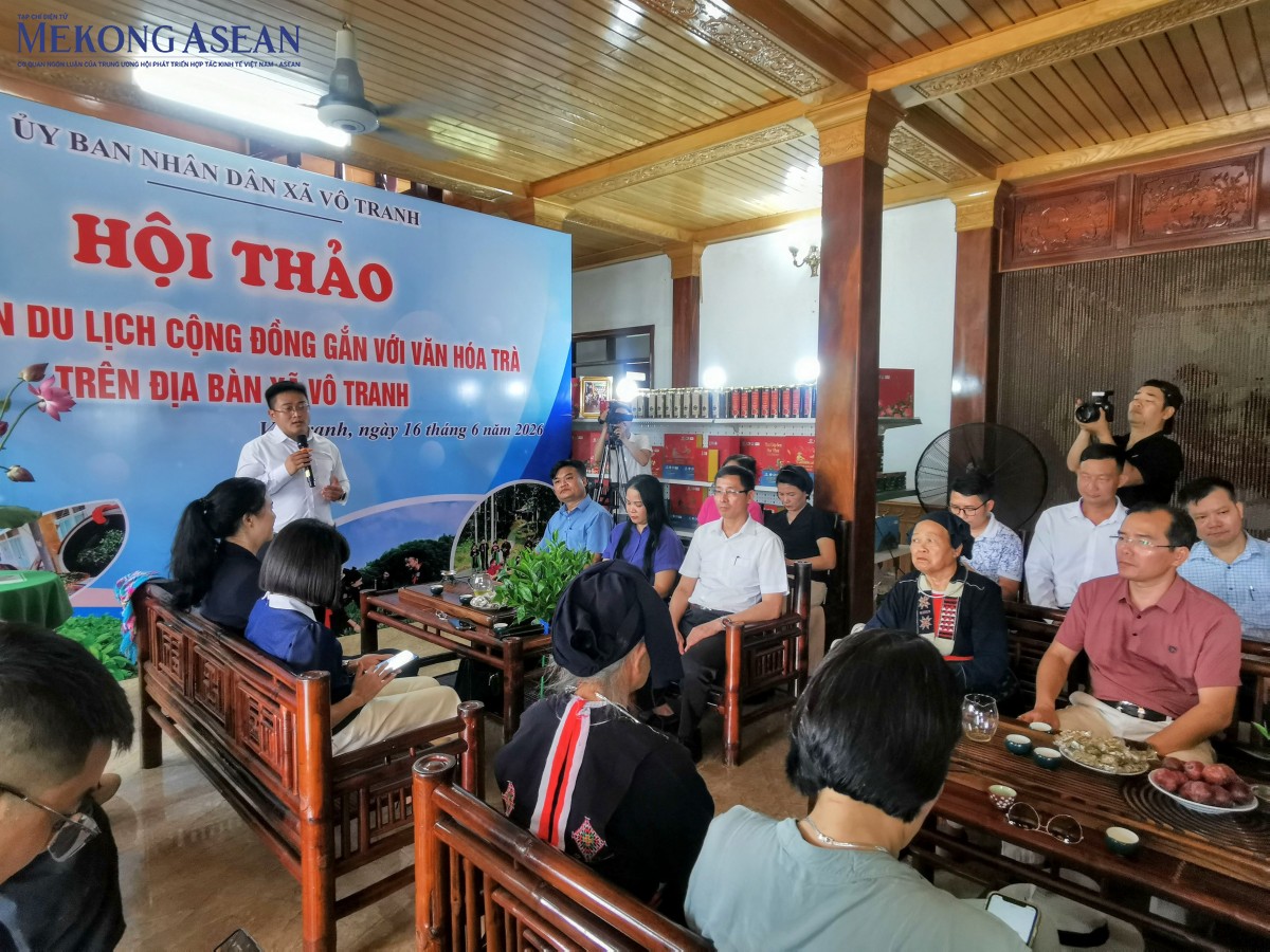 Thái Nguyên kết nối hệ sinh thái trà với du lịch trải nghiệm