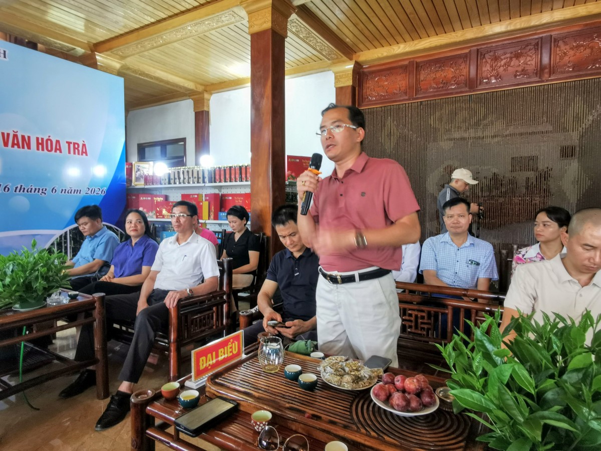 Thái Nguyên kết nối hệ sinh thái trà với du lịch trải nghiệm