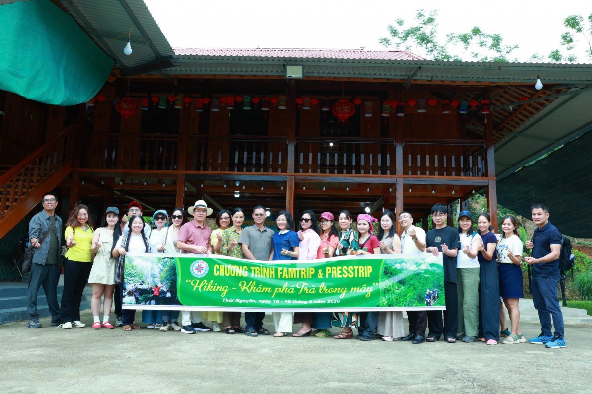 Thái Nguyên kết nối hệ sinh thái trà với du lịch trải nghiệm