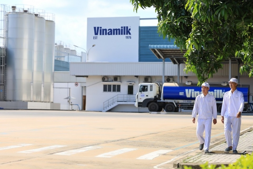 Vinamilk là đại diện của ngành sữa Việt trong Fortune 500 Đông Nam Á