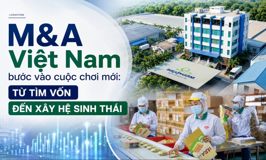 M&A Việt Nam bước vào cuộc chơi mới: Từ tìm vốn đến xây hệ sinh thái