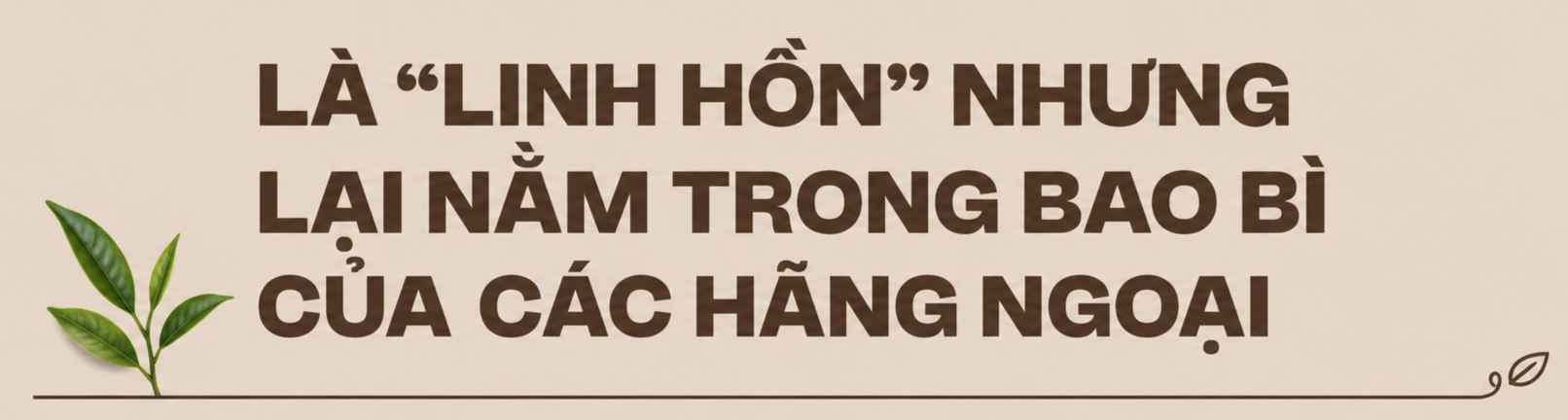 Chè Việt Nam là linh hồn trong nhiều sản phẩm trà nổi tiếng thế giới