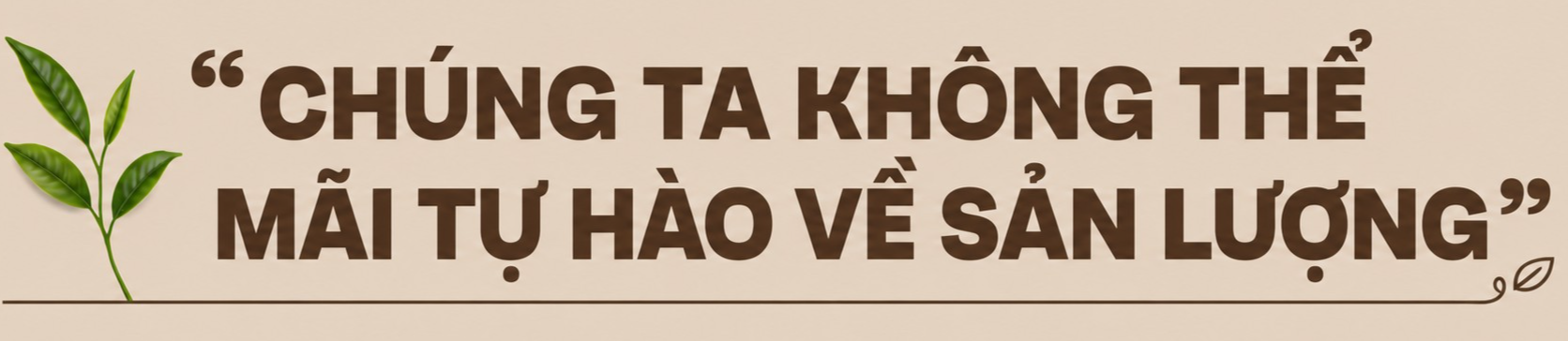 Chè Việt Nam là linh hồn trong nhiều sản phẩm trà nổi tiếng thế giới