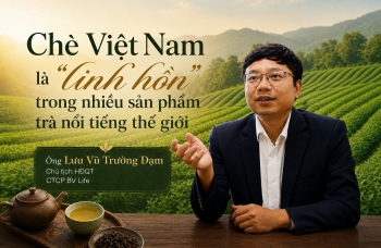 Chè Việt và bài toán định vị thương hiệu