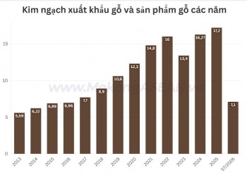 Dự báo xuất khẩu gỗ nửa cuối năm 2026