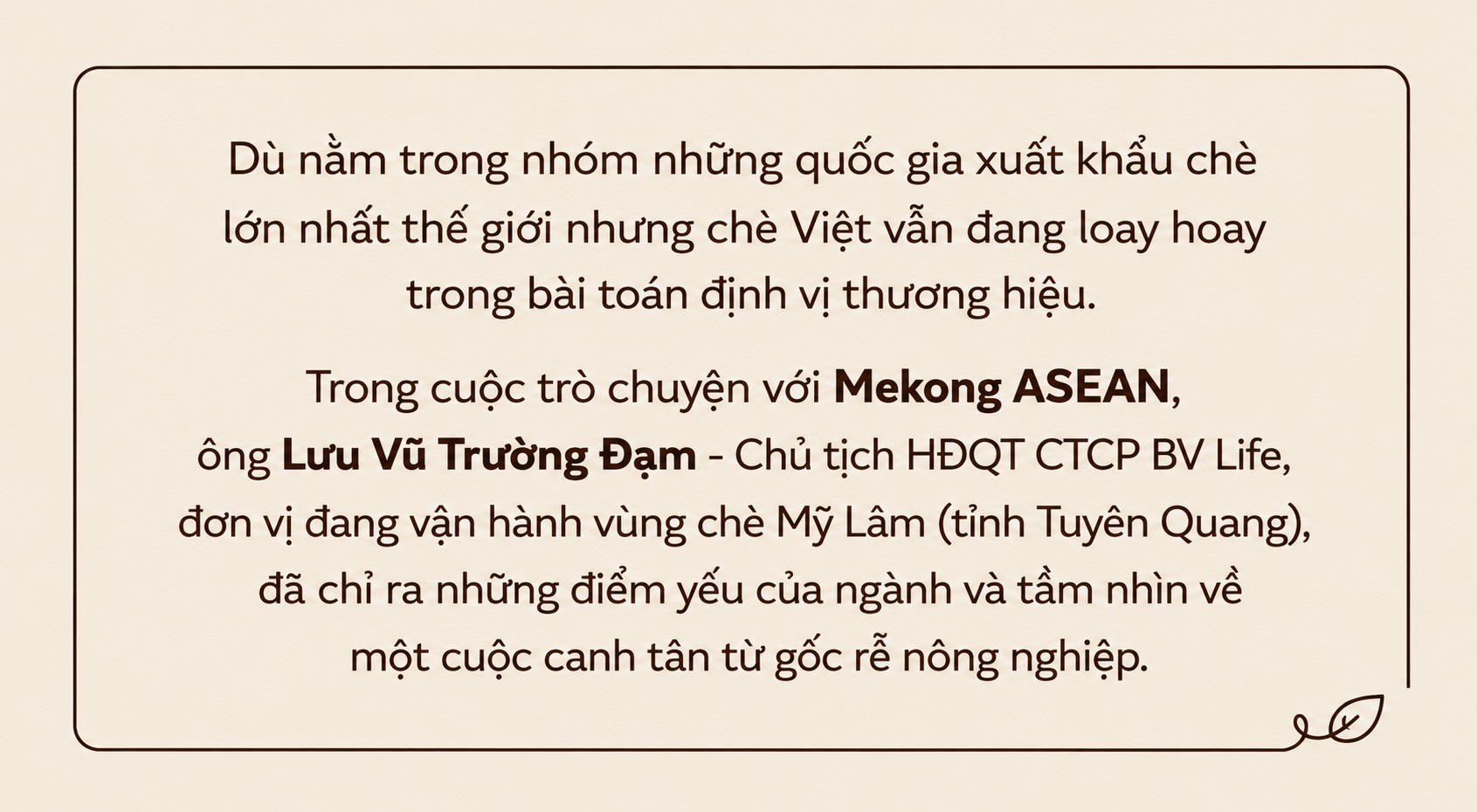 Chè Việt Nam là linh hồn trong nhiều sản phẩm trà nổi tiếng thế giới